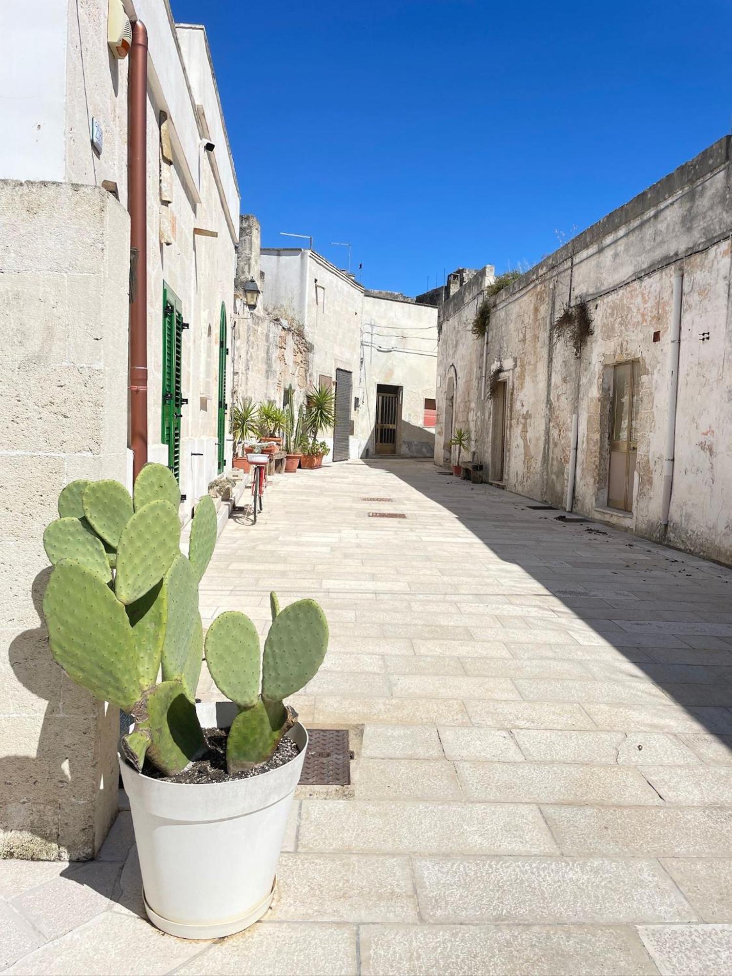 B&B Borgo Monacizzo Kültér fotó